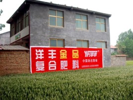 威宁如何让墙体广告展现最大化效果