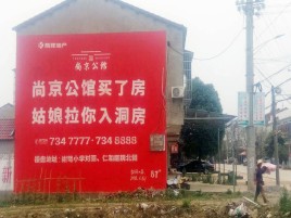 威宁墙体广告在乡镇、农村市场的媒体优势