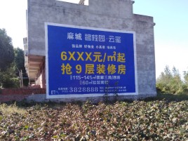 威宁品牌公司青睐的墙体广告