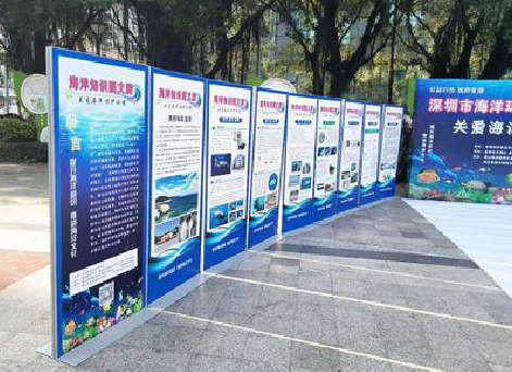 威宁KT板的种类和知识。